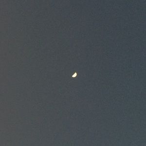 Meet your Posher, Noah